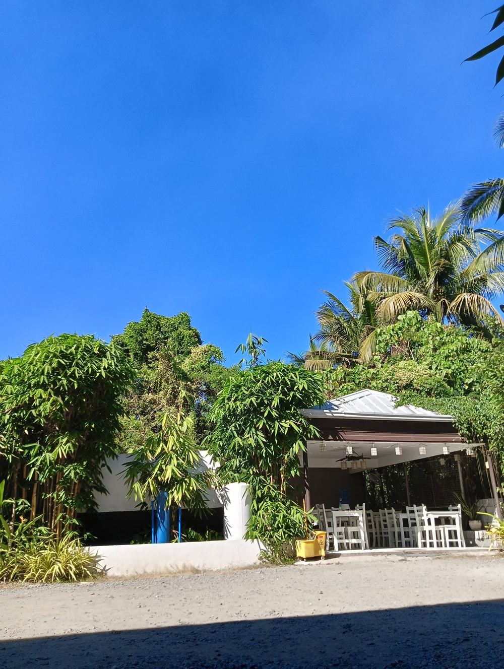 Garden dining pavilion under palm trees