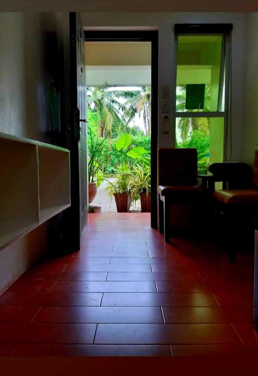 Hallway opening onto the garden